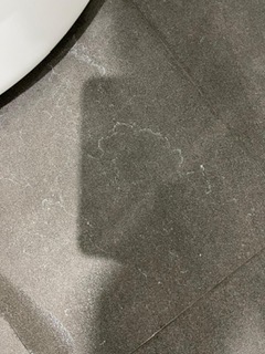 Basecamp Cleaing Services