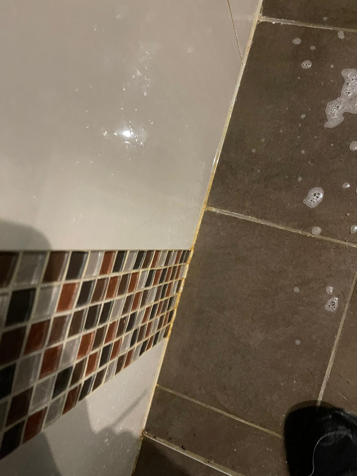 Basecamp Cleaing Services