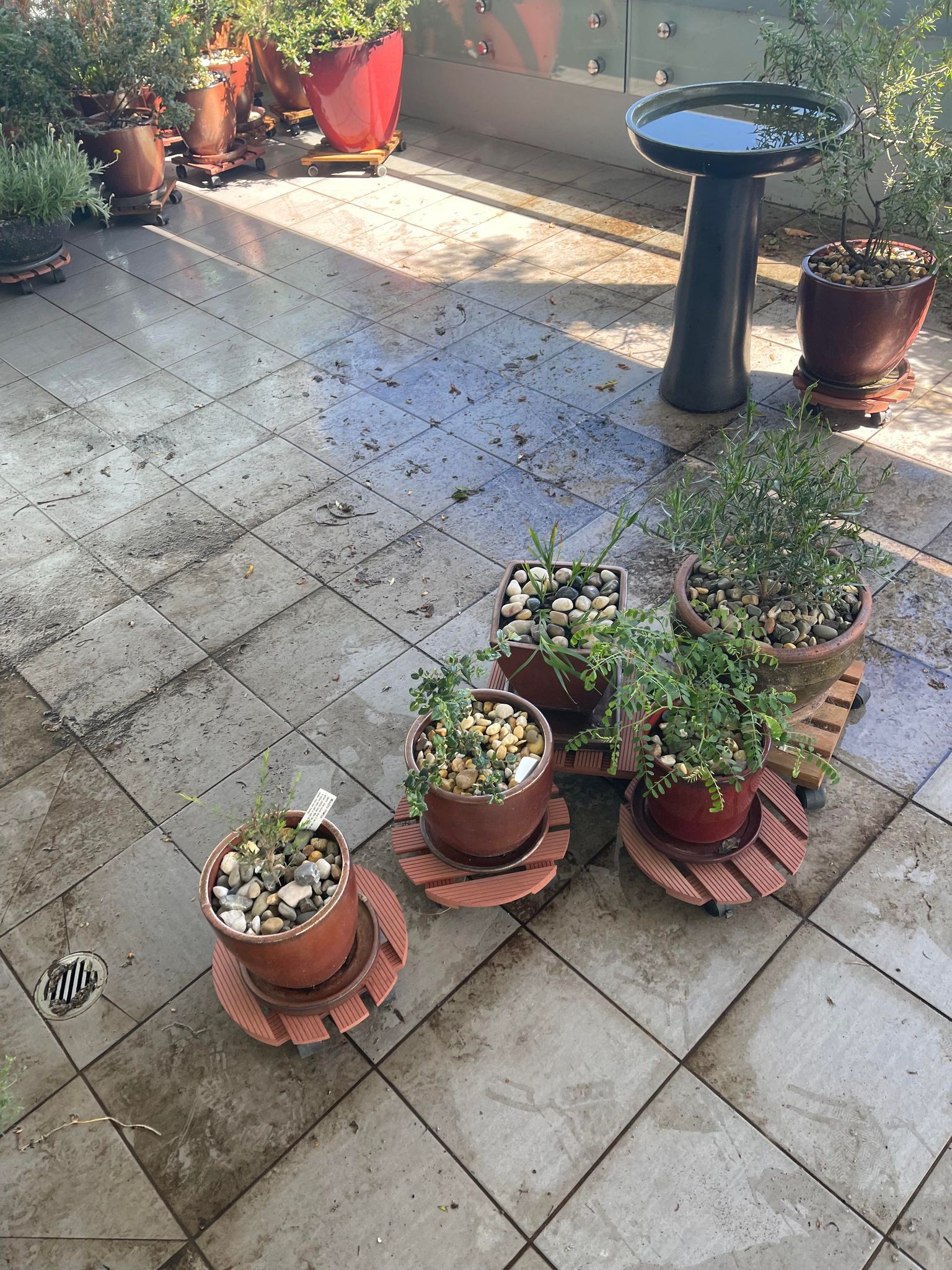 Basecamp Cleaing Services