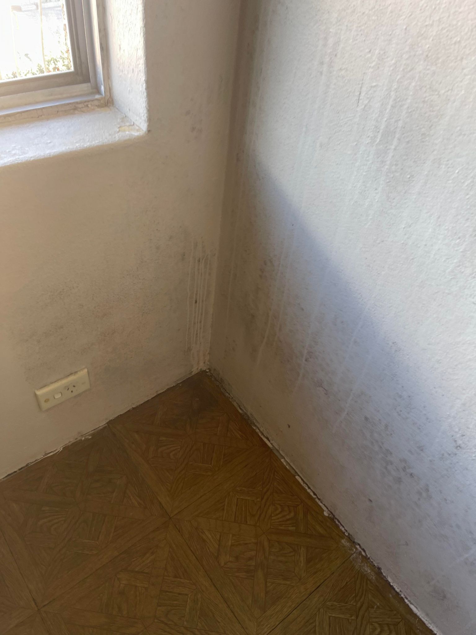 Basecamp Cleaing Services