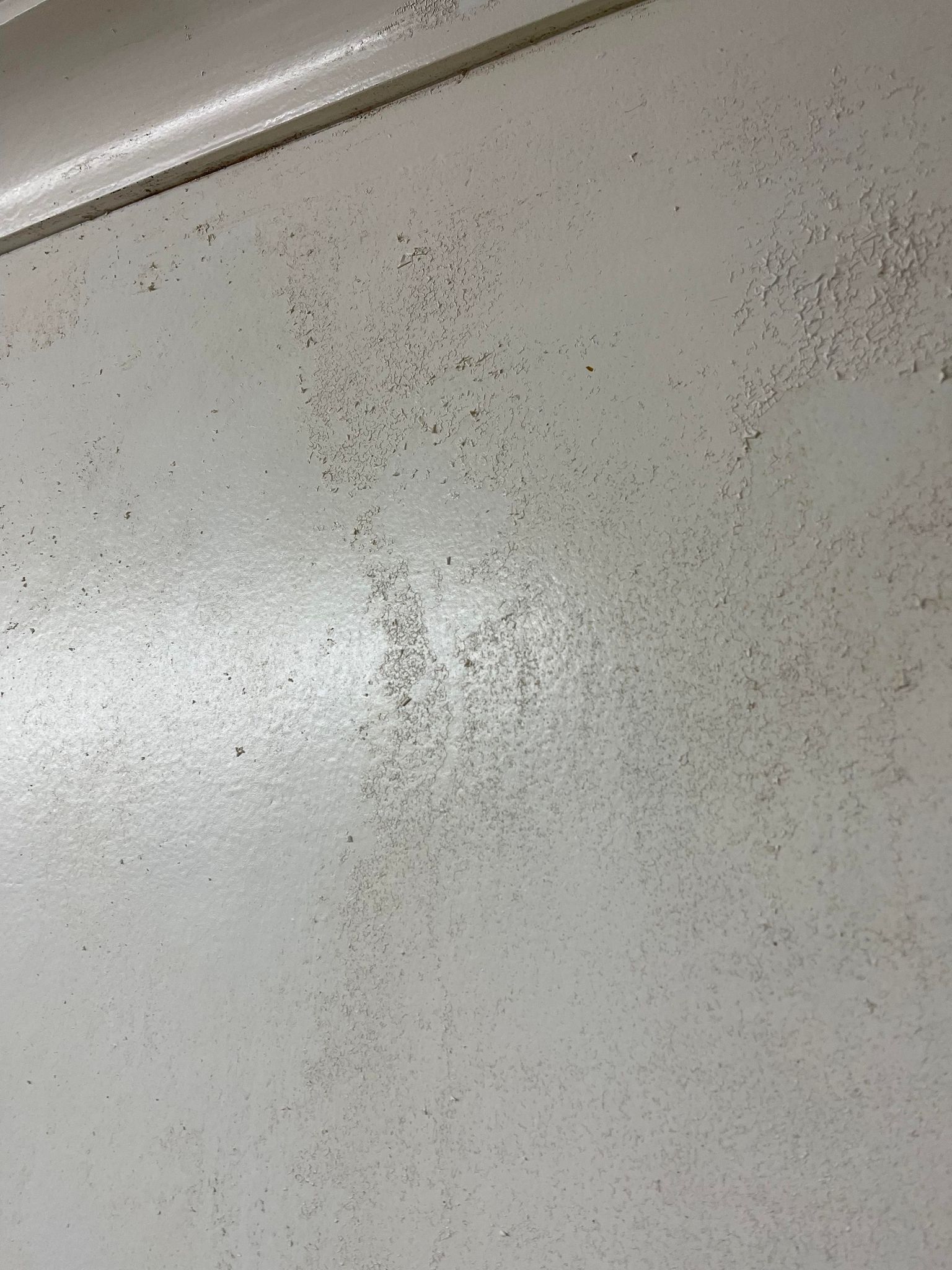 Basecamp Cleaing Services