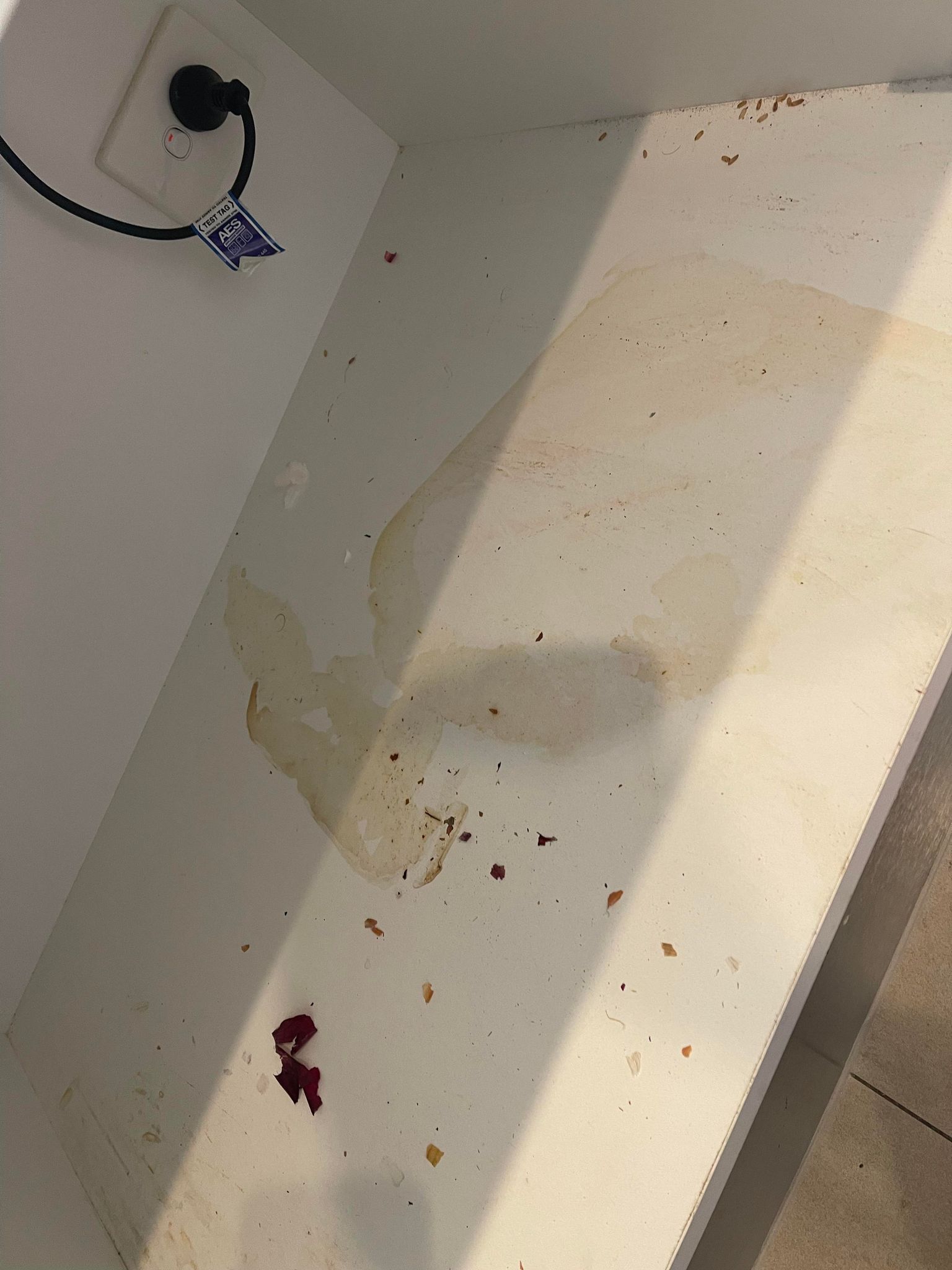 Basecamp Cleaing Services