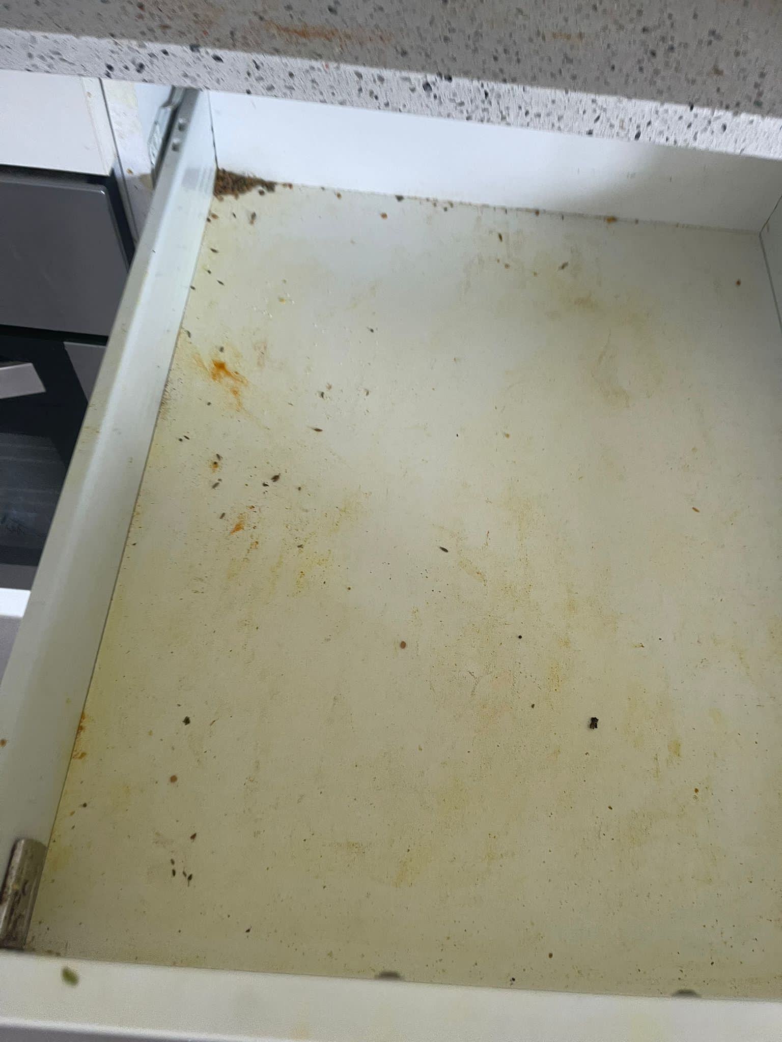 Basecamp Cleaing Services